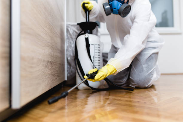 Best Pest Control Near Me  in Hoschton, GA