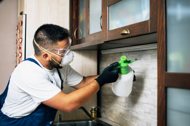 Best Affordable Exterminators  in Hoschton, GA