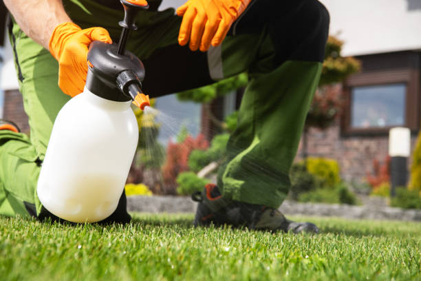Best Best Pest Control Companies  in Hoschton, GA