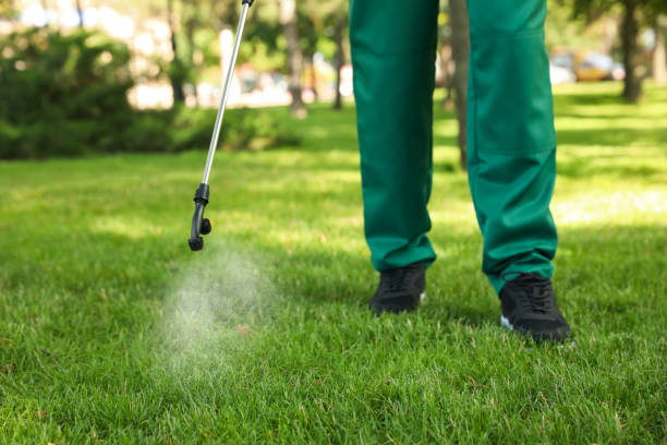 Best Rat Extermination Near Me  in Hoschton, GA