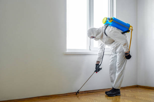 Best Termite Control Services  in Hoschton, GA