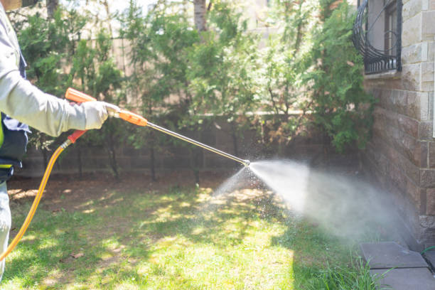 Best Affordable Pest Control Services  in Hoschton, GA