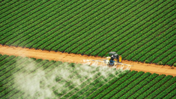 Best Pest Prevention Services  in Hoschton, GA