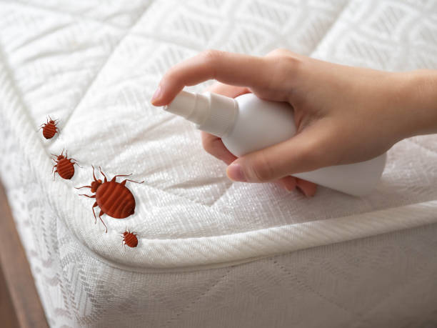 Best Exterminator Services  in Hoschton, GA