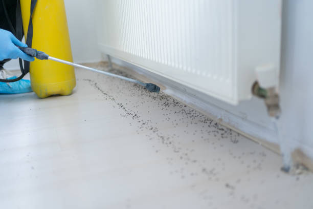 Best Pest Inspection Near Me  in Hoschton, GA