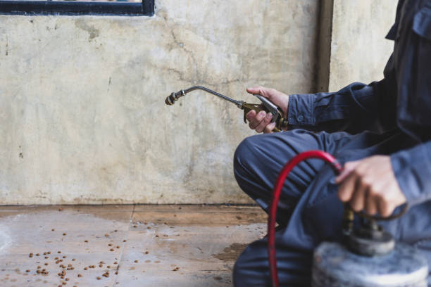 Best Residential Pest Control  in Hoschton, GA