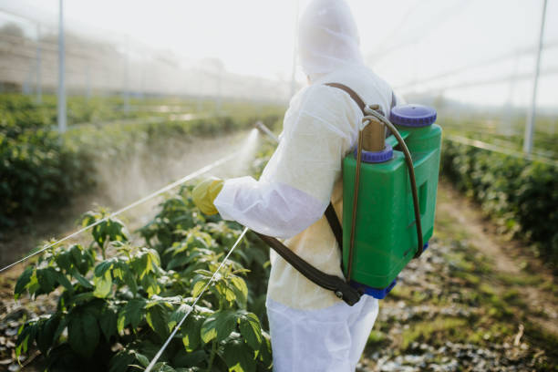 Best Best Pest Control Companies  in Hoschton, GA
